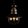 Уличный подвесной светильник Loft IT Piemonte 100022P