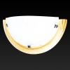 Настенный светильник Toplight Irma TL9070Y-01PN