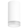 Накладной светильник Lightstar Rullo R4363437 (214436+203437)