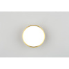 Накладной светильник Omnilux Salentino OML-100929-12