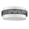 Потолочный светильник Lumion Animaisa 8002/6C