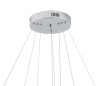 Подвесная люстра Zortes Ringolight ZRS.33321.120C