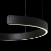 Подвесной светодиодный светильник Loft IT Ring 10025/400 Black