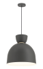 Подвесной светильник Moderli Allen V11116-P