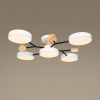 Потолочный светильник Freya Crown FR6119CL-L60W