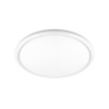 Потолочный светильник  LOFT IT Sweety 10454/400 White