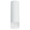 Накладной светильник Lightstar Rullo R48631 (214486+202431)