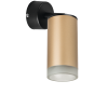 Встраиваемый спот Lightstar Rullo RB44030 (214440+590007+202430)