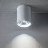 Потолочный светильник с переключателем цв. температуры Crystal Lux CLT 075C WH