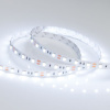 Светодиодная лента Arlight RT-B60-10mm 12V Cool 8K (14.4 W/m, IP20, 5060, 5m) 013341(2)