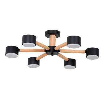 Потолочные люстры Arte Lamp Tenda A1624PL-6BK