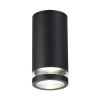 Уличный потолочный светильник Odeon Light Motto 6605/1C