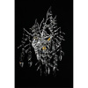 Настенный светильник  Aployt Gertunia APL.847.11.03