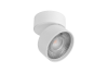 Накладной спот Lumker R-SF-WH-NW-DIM 010565
