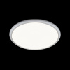 Потолочный светильник  LOFT IT Sweety 10454/400 White