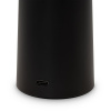 Настольная аккумуляторная лампа Freya Mushroom FR6109TL-L4B