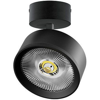 Накладной светильник Alta Pro Lightstar A5747SO