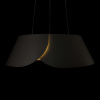 Подвесной светильник Loft IT Lane 10370P Black