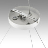 Подвесная люстра Lumion Luazana 8254/9