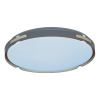 Потолочный светильник Lumina Deco Paneli LDC 8063-48W BL