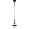 Подвесной светильник Lightstar Globo 813117