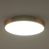 Потолочный светильник Zortes Tortty ZRS.02566.72