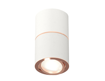 Потолочный светильник Ambrella Light Techno Spot XS7401220 (C7401, A2073, C7401, N7005)