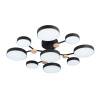 Потолочная люстра LED4U L3201-780 BK