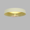 Потолочный светильник DeLight Collection MX19001031-1A yellow
