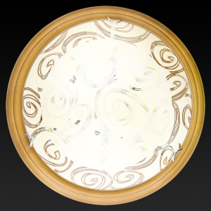 Настенно-потолочный светодиодный светильник Toplight Flora TL9600Y-00OA