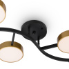Потолочный светильник Freya Tibo FR6048CL-L10GB