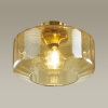 Потолочный светильник Odeon Light BINGA 4747/1C