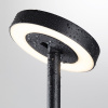 Ландшафтный светильник Odeon Light Nature Disc 7189/6GL