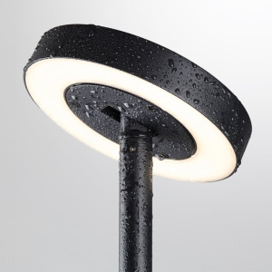 Ландшафтный светильник Odeon Light Nature Disc 7189/6GL