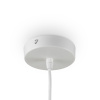 Подвесной светильник Freya Mesh FR5334PL-01W