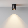 Накладной светильник Maytoni Alfa LED C064CL-8W3K-RD-B