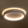 Потолочный светильник Freya Ringle FR6219CL-L80W