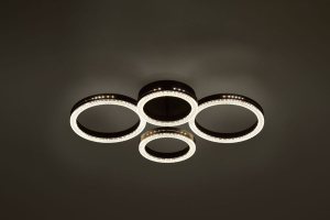 Потолочный светильник Rivoli Flora 6191-201