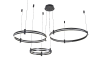 Подвесная люстра Zortes Duble-R ZRS.27510.03