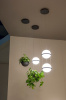 Подвесной светильник ImperiumLoft Palma 212755-22