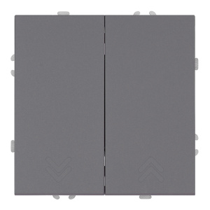 Выключатель двухклавишный Stekker Эмили RSW10-5116-10 платиново-серый soft touch 50823