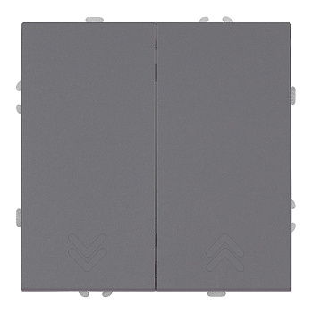 Выключатель двухклавишный Stekker Эмили RSW10-5116-10 платиново-серый soft touch 50823