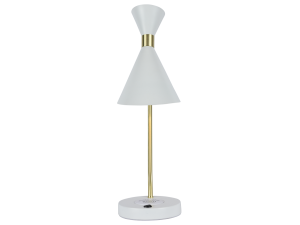 Настольная лампа Zortes DeskLight ZRS.1066.05