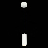 Подвесной светильник ST Luce Zoom ST600.543.10