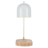 Настольная лампа Zortes DeskLight ZRS.1066.02