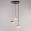Подвесной светильник Delight Collection MD25030003-3A matt black/clear