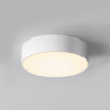 Уличный потолочный светильник Maytoni Zon IP O431CL-L30W4K