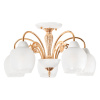 Потолочная люстра MyFar Nika MR1671-5C