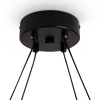 Подвесная люстра Freya Collar FR6180PL-L32B