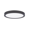 Потолочный светильник Loft IT Extraslim 10227/24 Black
